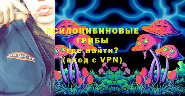 трава Гусев