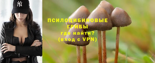 твердый Гусиноозёрск